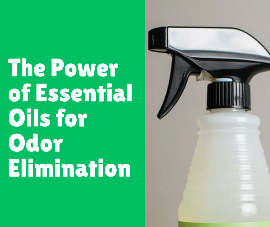 The Power of Essential Oils for Odor Elimination