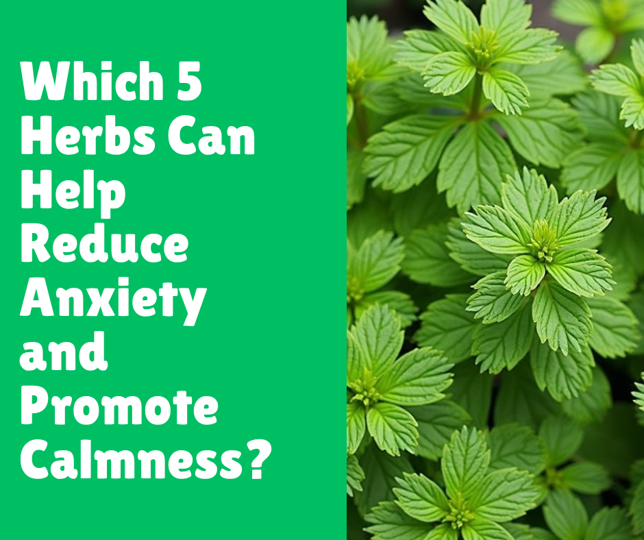 Which 5 Herbs Can Help Reduce Anxiety and Promote Calmness