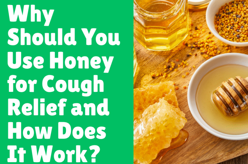 Why Should You Use Honey for Cough Relief and How Does It Work
