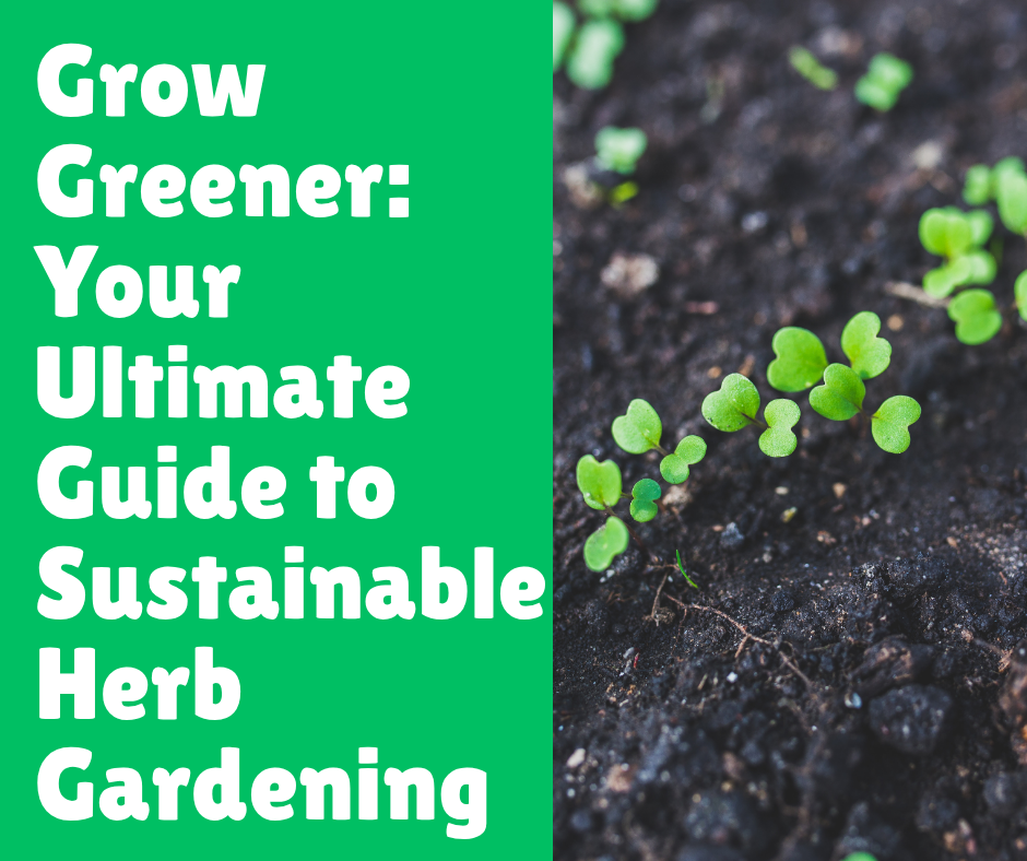 Grow Greener: Your Ultimate Guide to Sustainable Herb Gardening