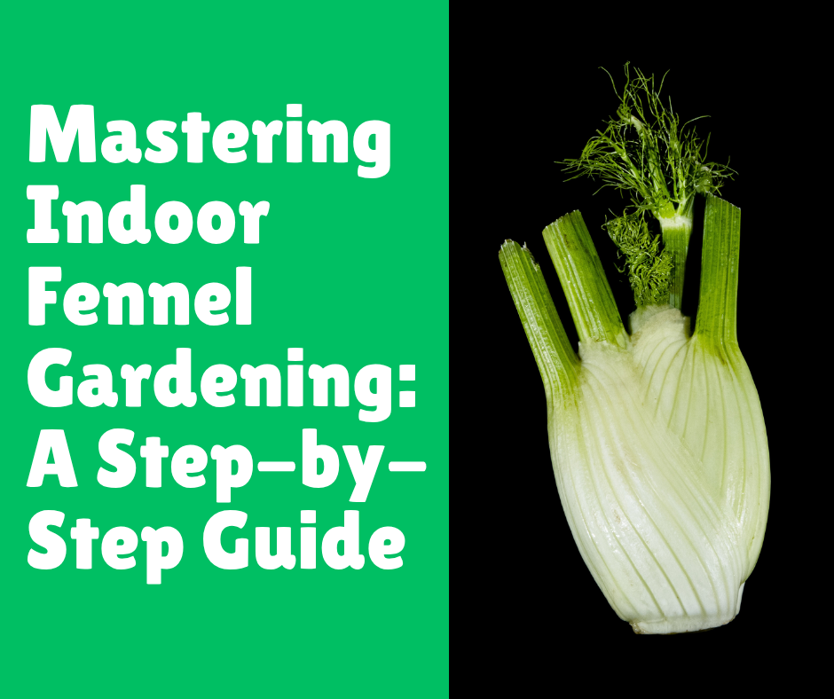 Mastering Indoor Fennel Gardening: A Step-by-Step Guide