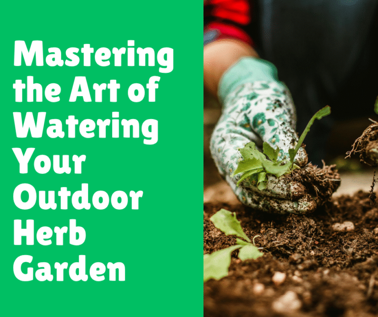Mastering the Art of Watering Your Outdoor Herb Garden