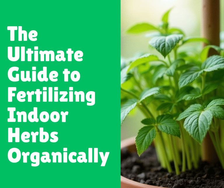 The Ultimate Guide to Fertilizing Indoor Herbs Organically